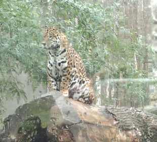 Zoo Olomouc