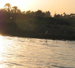 Sonnenuntergamg am Nil