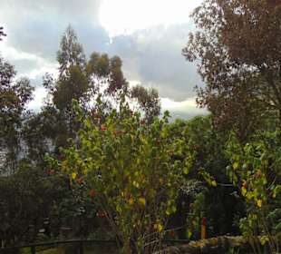 Casa Santa Clara Restaurant auf dem Monserrate