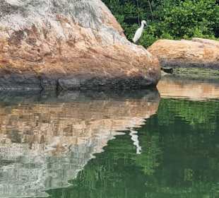 Wassersafari
