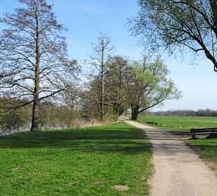 Impressionen vom Weg um den Hasportsee