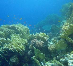 Sharm el Naga