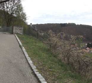 Burgruine Hohenhundersingen