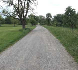 Naturinfopfad Weggental