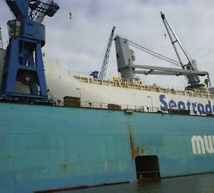 Hafenrundfahrt Bremerhaven