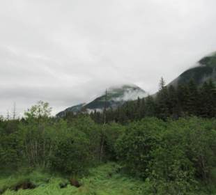 Auf den Weg zu den Gletschern