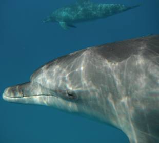 Wir Beide eine Weile Auge in Auge