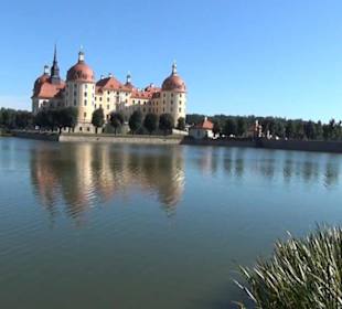 Schloss Moritzburg
