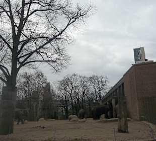 ZOO Berlin