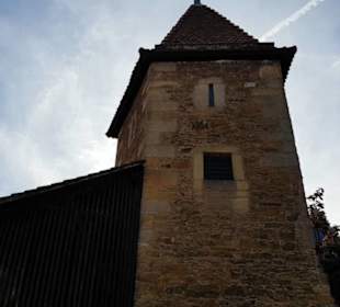 Zwinger 8836775b96a55a581d3 