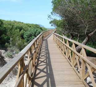 Steg über die Dünen