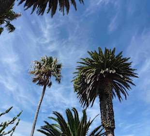 Kap der Guten Hoffnung