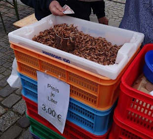 So sehen frische Krabben aus