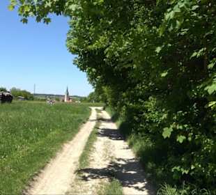 Kalktuff-Lehrpfad