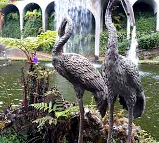 Botanischer Garten Monte Palace