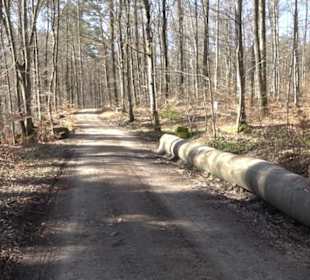 Historischer Rundwanderweg Aichtal