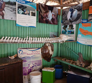 Saona Island - Mano Juan