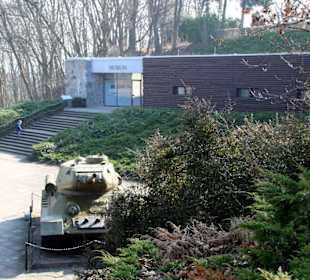 Blick zum Museumseingang