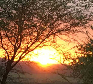 Sonnenuntergang Serengeti 