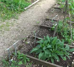 Kurgarten Erpfingen