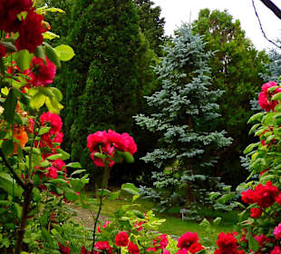 Botanischer Garten Baltschik