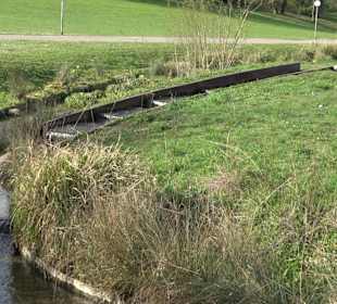 Unterer Schlossgarten Stuttgart