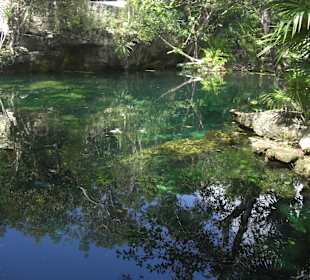 Offene Cenote