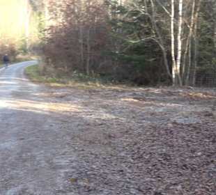 Steinbruch Bezenberg