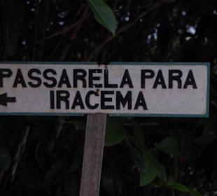 Cachoeira Iracema-Presidente Figueiredo 