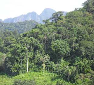 Die Landschaft bei unserer Anreise