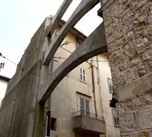 "Старый" Грасс