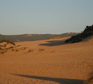 Le dune