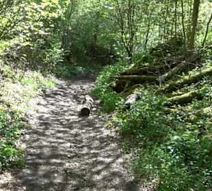 Premiumwanderweg Hochgehschätzt