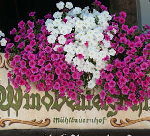 Zur Pause beim Bauernhauskaffee Windbeutelgräfin