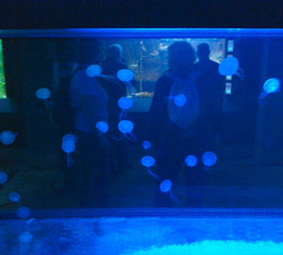 Tierpark Hellabrunn in München