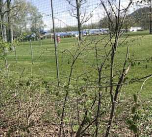 Sport- und Freizeitpark Markwasen