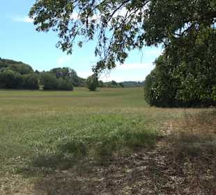 Wandertour Greifensteinrunde