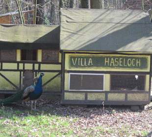 Vogelpark Hassloch