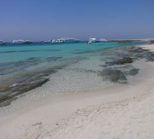 Giftun - Paradise Island