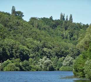 Am Ufer der Mainschleife