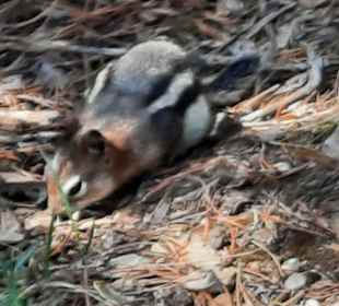 ....er ließ sich nicht stören...