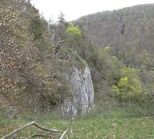 Eiszeitpfad - Burgfelsenpfad