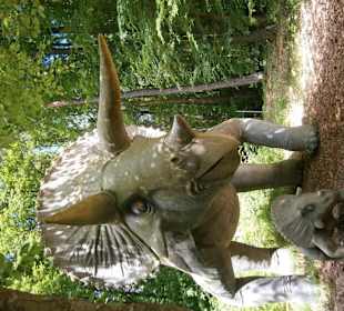 Triceratops