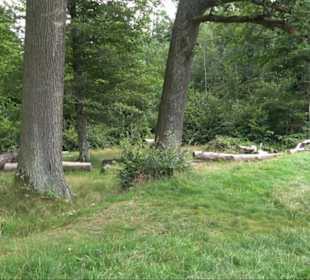 Sonnenaufgangs-Rundwanderung Rübgarten