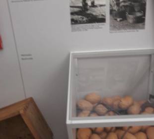 Heimatmuseum im Herrenhaus