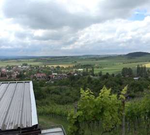 Schutzgebiet Spitzberg, Pfaffenberg