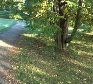 Botanischer Garten