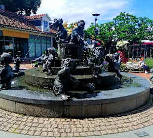 Jungbrunnen Bad Harzburg