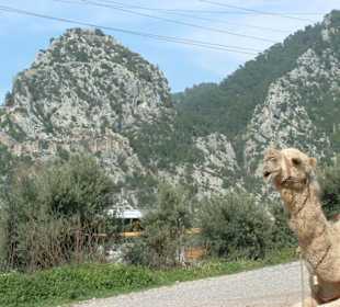In der Nähe der Aquädukte