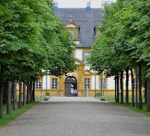 Allee zum Schloss Seehof